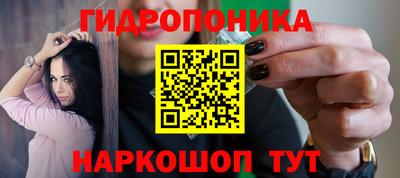 кокс Боровичи