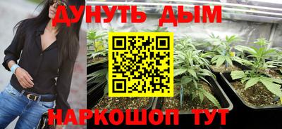 кокс Боровичи