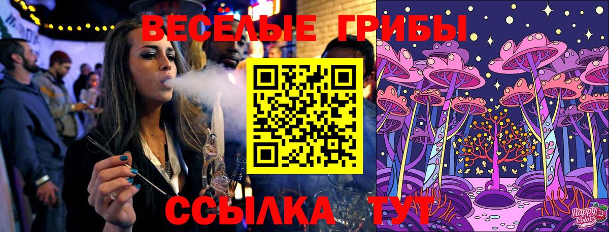 Галлюциногенные грибы Cubensis Волгоград