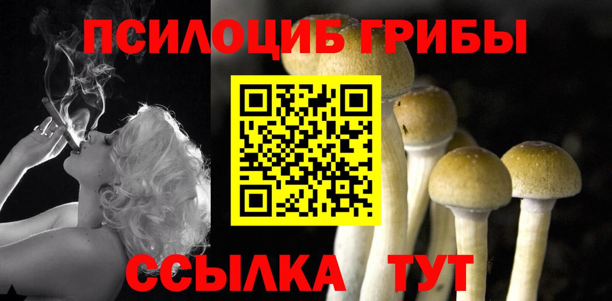 Галлюциногенные грибы Psilocybe  Вход с VPN  Волгоград  Галлюциногенные грибы Cubensis 